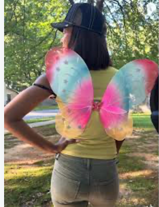 Light Up Rainbow Fairy Butterfly Wings