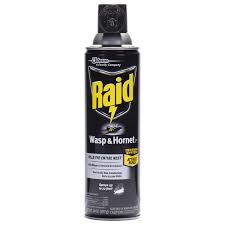 Raid Wasp & Hornet Killer 33 Aerosol Spray, 14 oz | MARTIN'S