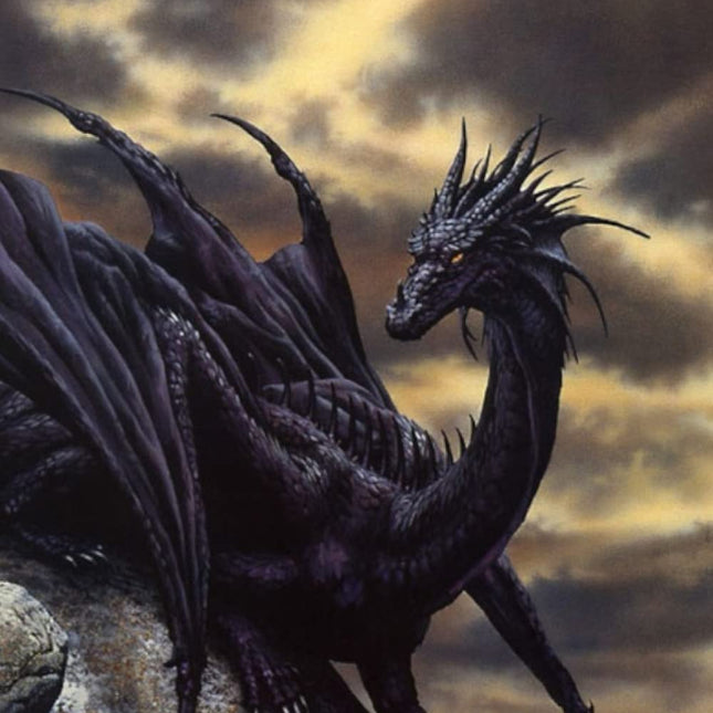 Dragon Care Journal